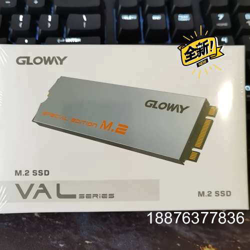 全新未开封光威（Gloway）1TB SSD固态硬盘｜M.2