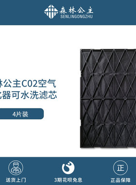 森林公主空气净化器C02活性炭可水洗活性炭网