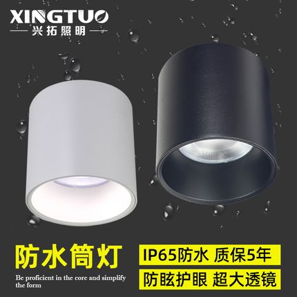 防水筒灯户外明装室外门头车站台雨棚照明灯阳光房led射灯IP65