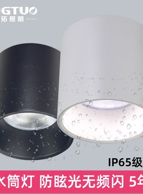 防水筒灯户外明装室外门头车站台雨棚照明灯阳光房led射灯IP65