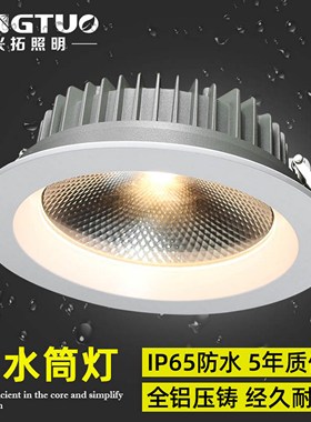 室外防水筒灯户外防雨雾嵌入式LED灯店铺门头阳露台天雨棚灯IP65