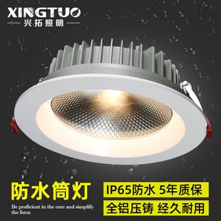 室外防水筒灯户外防雨雾嵌入式LED灯店铺门头阳露台天雨棚灯IP65