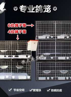 鸽子笼养殖笼繁殖笼巢箱笼子鸽笼