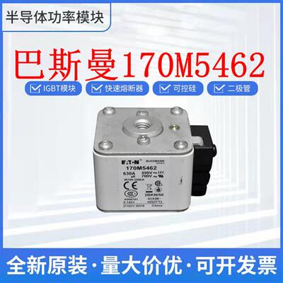 全新巴斯曼熔断器170M5462 170M5458 170M5459 170M5460