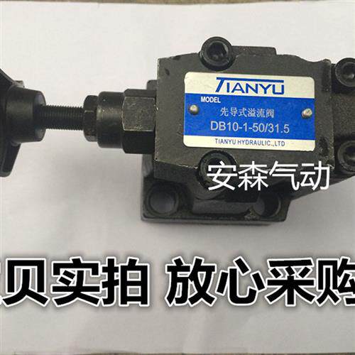 天谕 先导式溢流阀 DB10-1-50/100 液压阀 优惠价 10MPA
