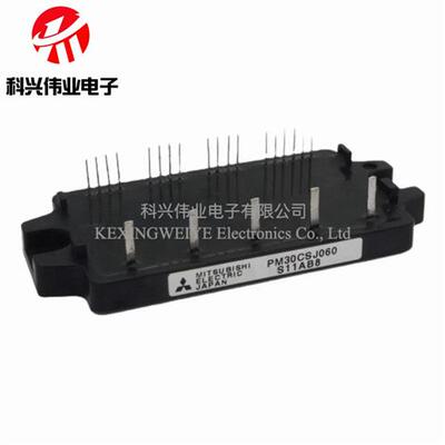 PMZDA10CSJ0660PM15CSJ060 PM20CSJ60 PM30CSJ00 0PM20CN J060