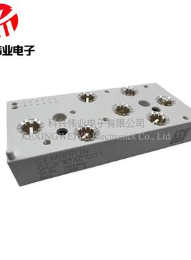 SKIIP83AC12IT1 SKIIP83AC128IST1 SKIIP82AC128IST1 83AC12IT46