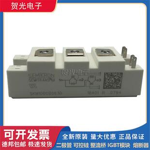 SKM300GB063D IGBT模块SKM100GB063 SKM200GB063D SKM150GB063D
