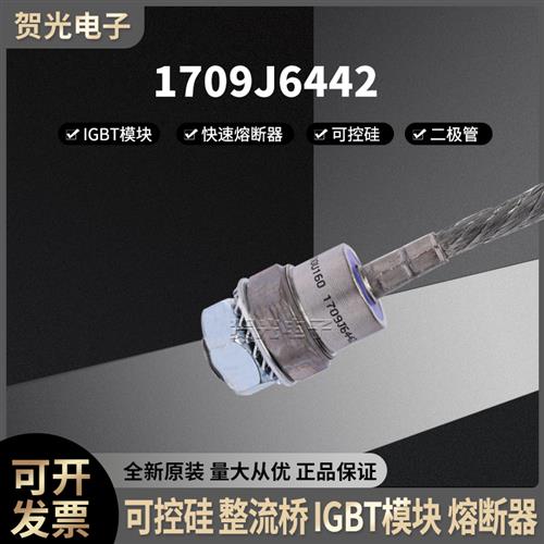 全新原装 300U160 1709J6442功率二极管 整流模块 二极管模块