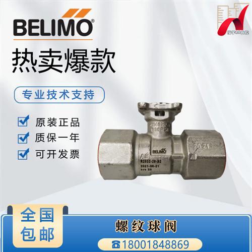 R223AC R2025-10-S2 R2020-4-S1 2032 R2050-40-S3二通球阀