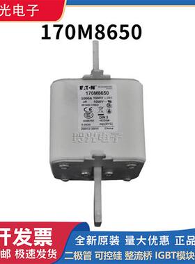 全新原装熔断器170M8642/8645/8646/8650 现货直销