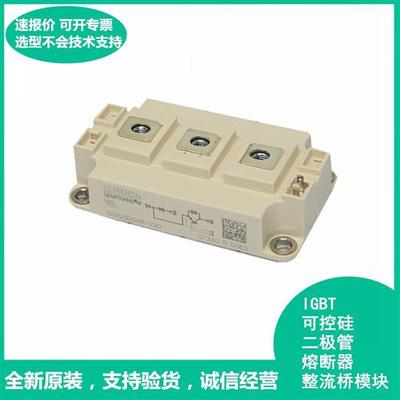 SKM200GAL12T4 SKM200GAL12E4 SKM200GAL173D IGBT模块 极速发货