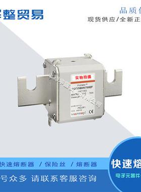 全新快速熔断器PC73GB69V630PA X301274 PC73GB69V700PA Y301275