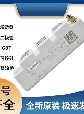 SKM100GB12T4 SKM150GB12T4G SKM200GAL125D 全新可控硅 IGBT模块
