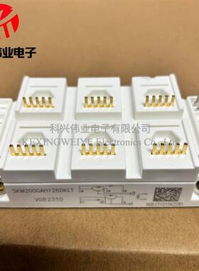 模块SKM200GAH123DKL SKM200GAH126DKL SKM300GAH126DKLT