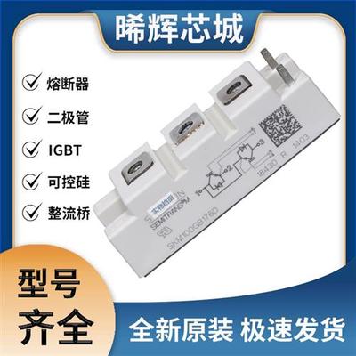 SKM100GB176D SKM100GB17E4 SKM100GB173D IGBT模块 极速发货