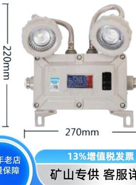 BAJ52防爆双头应急灯B级 原厂正品设备