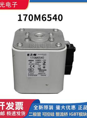 全新原装熔断器170M6540/6541/6542/6543/6544/6545/6546