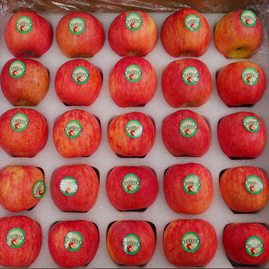 正宗洛川秦脆苹果陕西水果礼盒生鲜新鲜当季整箱25枚70mm发京东