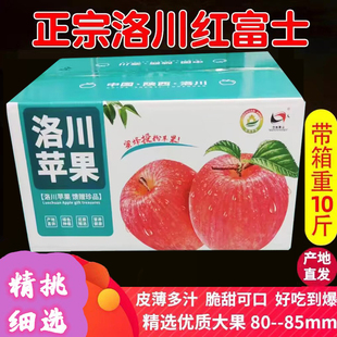 85mm一级大果产地发 陕西洛川红富士苹果水果新鲜当季 整箱10斤80