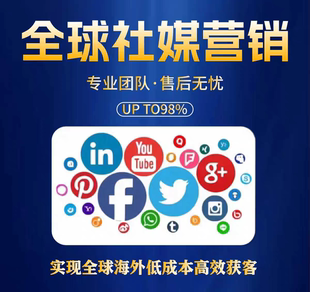 谷歌广告投放google推广运营脸书广告开户社媒广告代投放诊断咨询
