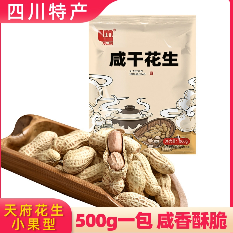 乐明咸干花生500g 四川德阳特产带壳花生盐水煮咸香天府咸干花生