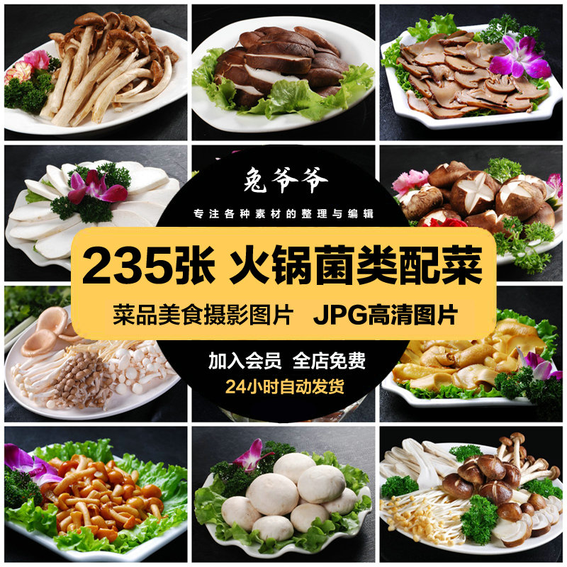 高清美食菜品菜谱JPG图片火锅菌类配菜美工设计喷绘打印素材