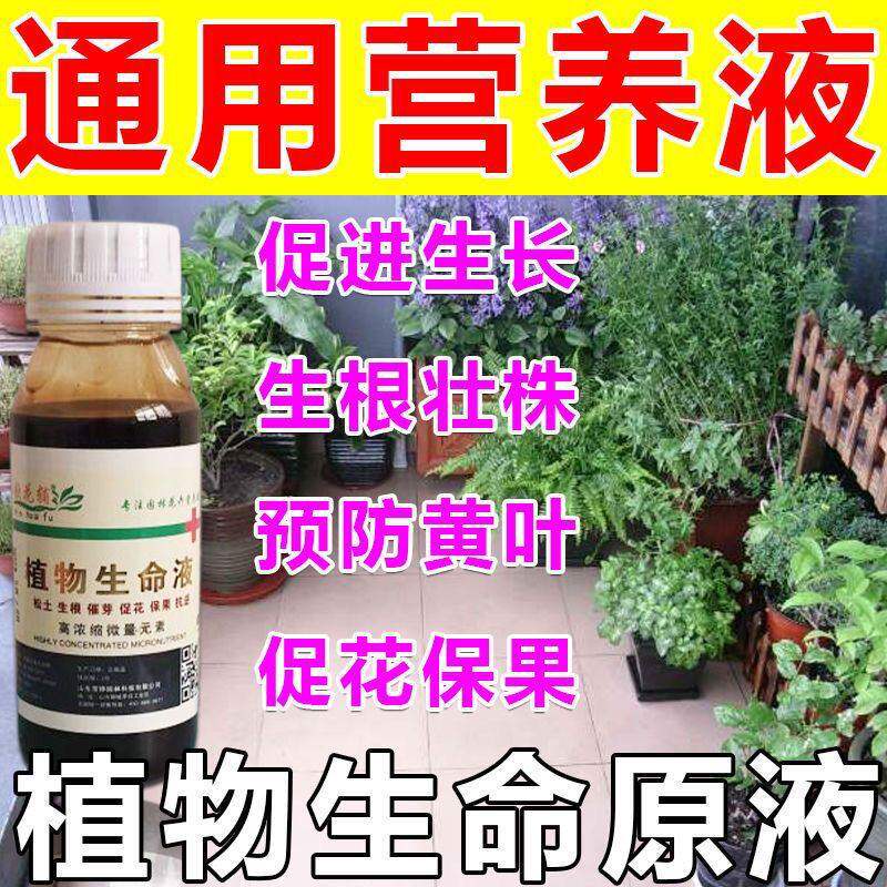 花卉植物生命液体 花卉植物多肉通用营养液 绿叶壮苗催花肥料通用