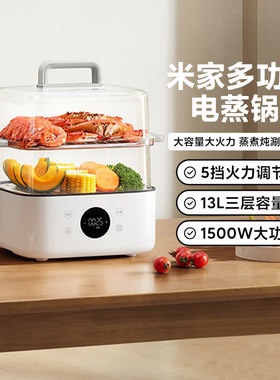 小米米家多功能电蒸锅N1 13L蒸煮焖炖涮一锅多用大容量大功率家用