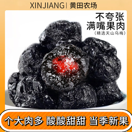 新疆特产天山大乌梅干酸甜好吃零食蜜饯果脯果干果脯蜜饯