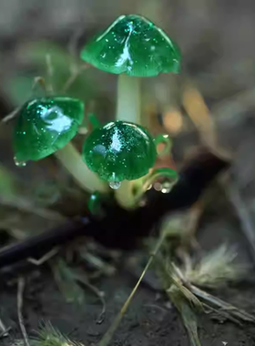 可可爱爱热缩片紫色绿色小蘑菇汉服配饰简约日常发簪盘发头饰发饰