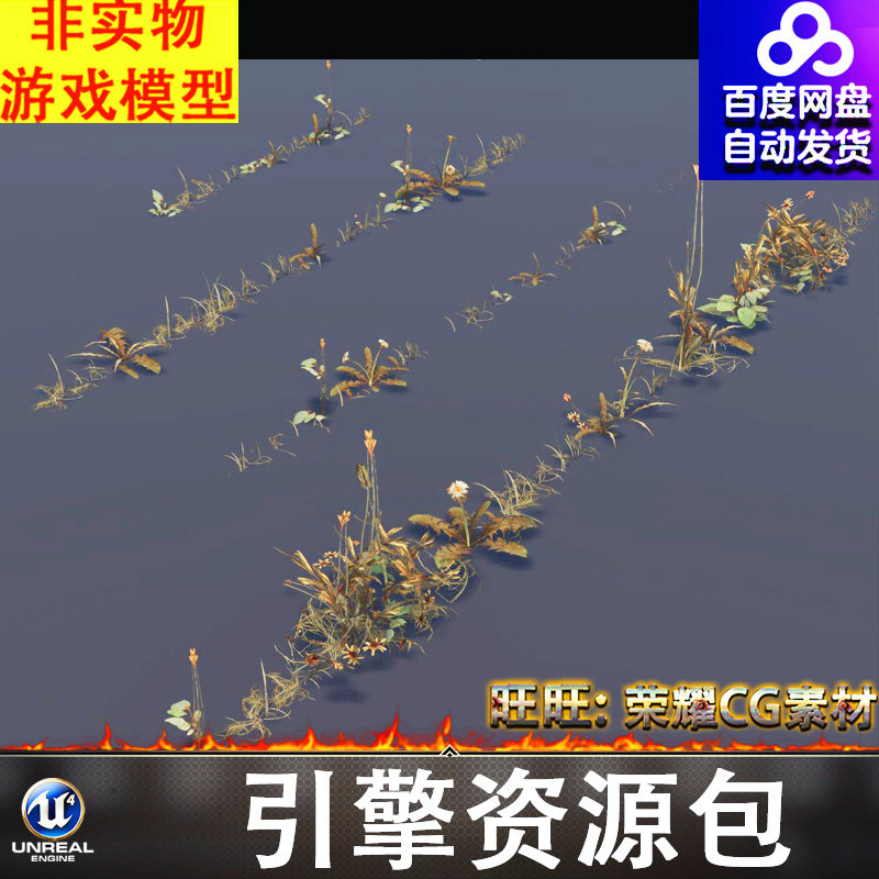 UE55.5热带植物杂草花草植被墙角落叶车轮印斑马线