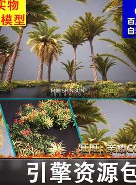 虚幻UE5.1沙漠生物群落棕榈热带植物植被树木花草