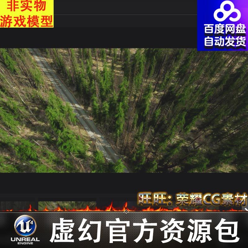 包更新UE5北欧原始森林树林丛林雨林针叶林公路菌类NordicForest图片