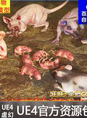 UE4虚幻4 Rats Complete Pack 变异老鼠怪物骨骼模型动画素材