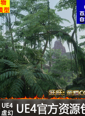 虚幻4 Tropical Jungle Pack 热带丛林UE4森林瀑布山谷草原场景