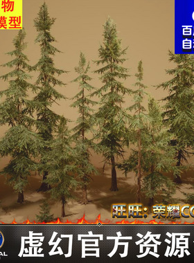 UE5写实云杉松树红衫植物植被枯木树木松针