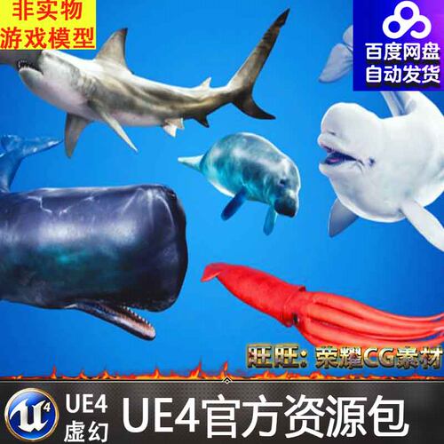 UE4虚幻5海洋动物动画模型合集 Ocean Animals MEGA Pack4.24-5.1
