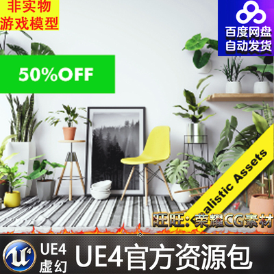 Realistic Plants Vases and Environments Pack写实UE4室内盆栽