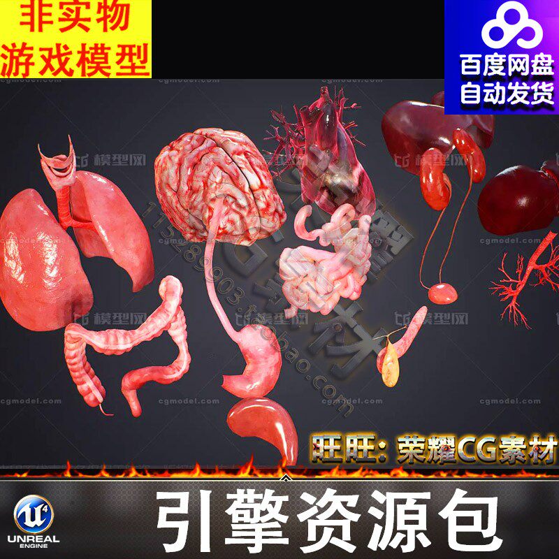 UE4UE5人体器官内脏脾脏肾脏大脑子心脏结肠子肝脾肺肾胃骨架FBX