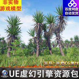 UE5丝兰树植物旱芹花草植被藻类蕨类灌木野菊花石头Yucca Pack