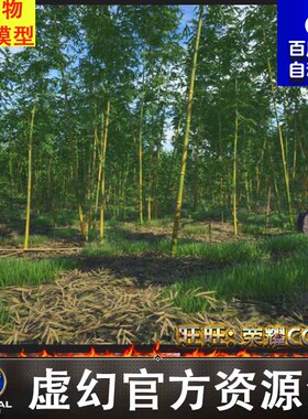 UE45UE5竹子竹林树林枯萎折断武侠带动画石头小草石头竹海
