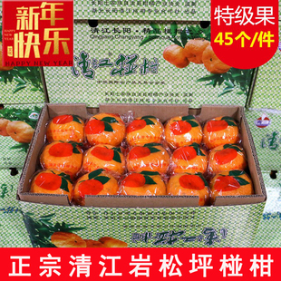 湖北长阳清江岩松坪椪柑特级大果45个装当季新鲜水果芦柑脆嫩多汁