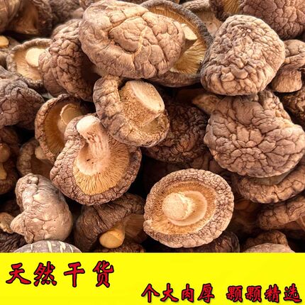 干货2025新货陇南特产秦岭椴木野生香菇农家小香菇打折优惠包邮