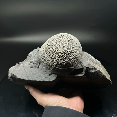 黄铁矿球（铁胆石）Pyrite 精品矿物晶体矿物标本矿石原石观赏石