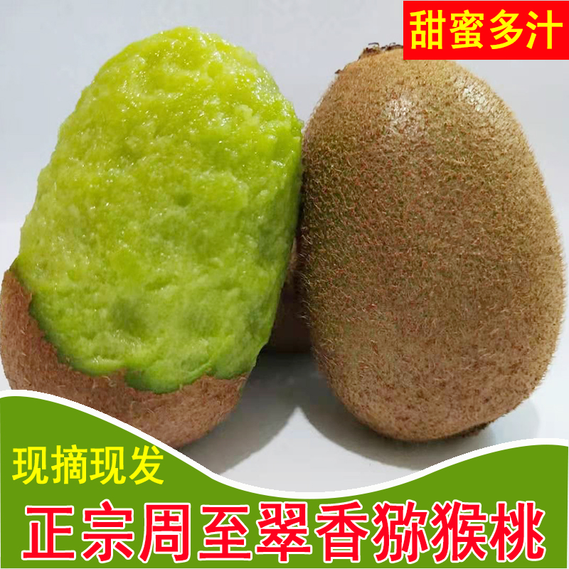 陕西周至翠香猕猴桃新鲜水果现摘