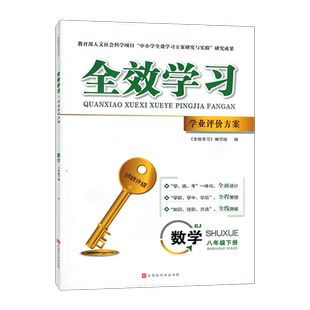 2025春全效学习学业评价方案八年级下册数学8年级中考人教版同步练习册学练考一体化 知识技能方法全线突破附赠夹带试卷和答案