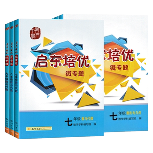 2026版启东培优微专题七年级八九年级数与代数图形与几何数学竞赛中考题型训练提高解题思维解题方法揭示思维规律789年级数学培优