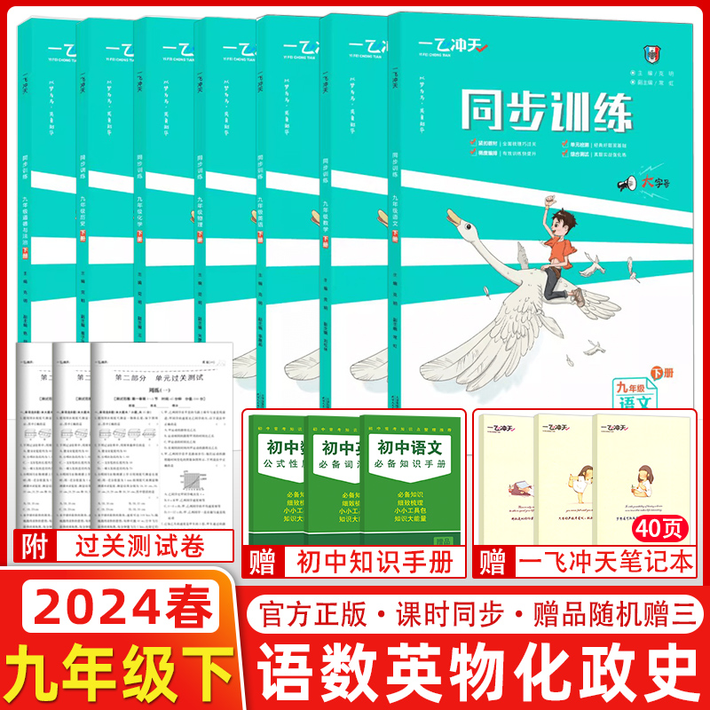2024版一飞冲天同步训练九年级