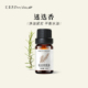汇美舍迷迭香精油 单方精油纯植物精油面部护肤身体按摩香薰精油